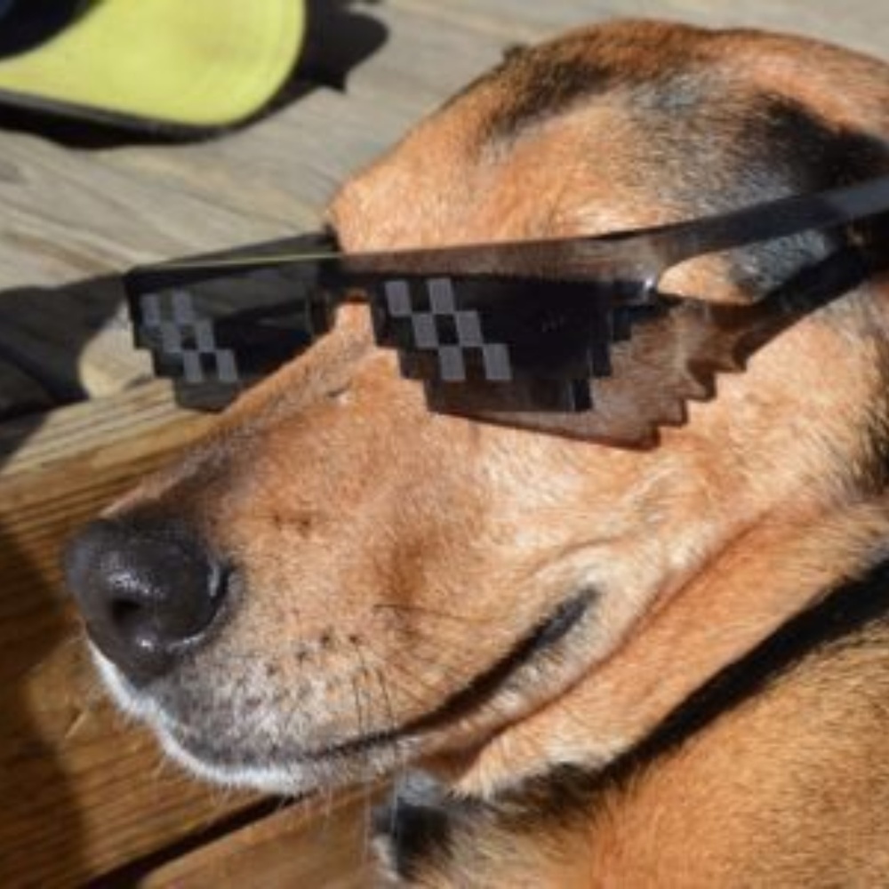 Thug Life Set 8 Bit Pixel Shades - Picture 4 of 7
